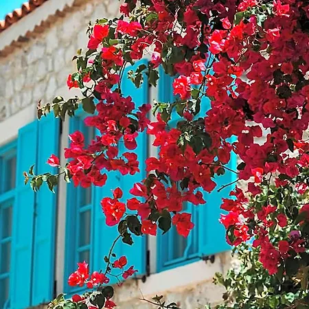Casa Alegre Alacati Ξενοδοχείο Çeşme